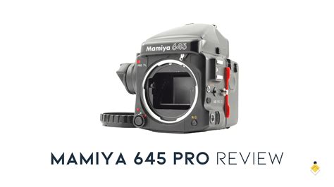 mamiya 645 portraits|Mamiya 645 Pro Review: My Experience with this .
